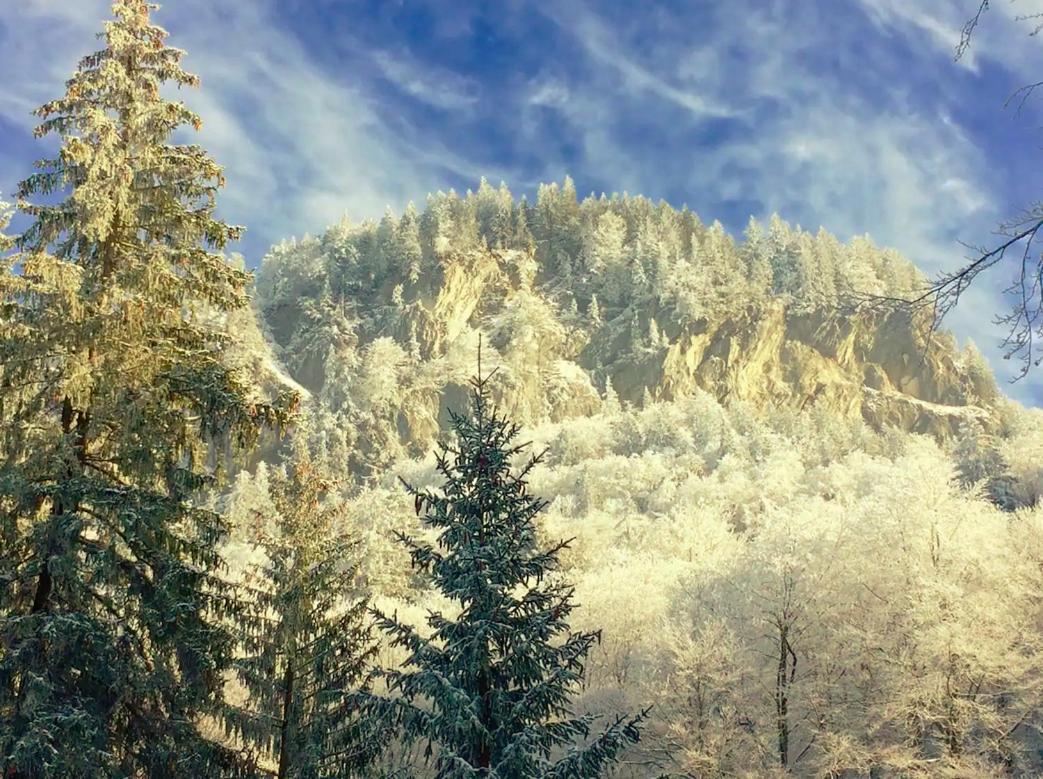 Kunst- Und Naturfreundehaus Bruenig Lungern Bagian luar foto