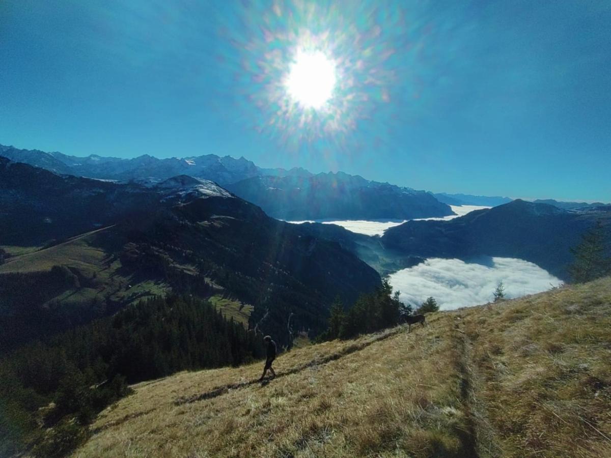 Kunst- Und Naturfreundehaus Bruenig Lungern Bagian luar foto
