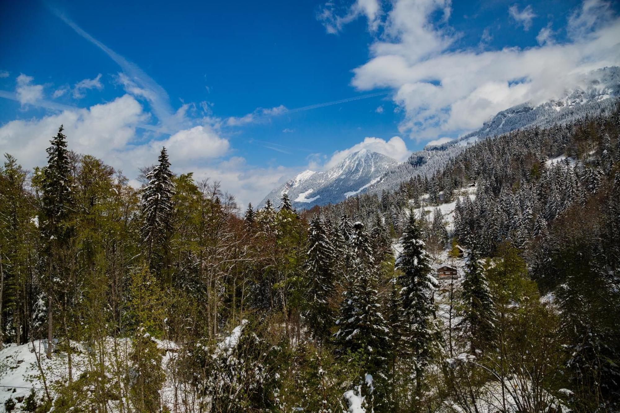 Kunst- Und Naturfreundehaus Bruenig Lungern Bagian luar foto