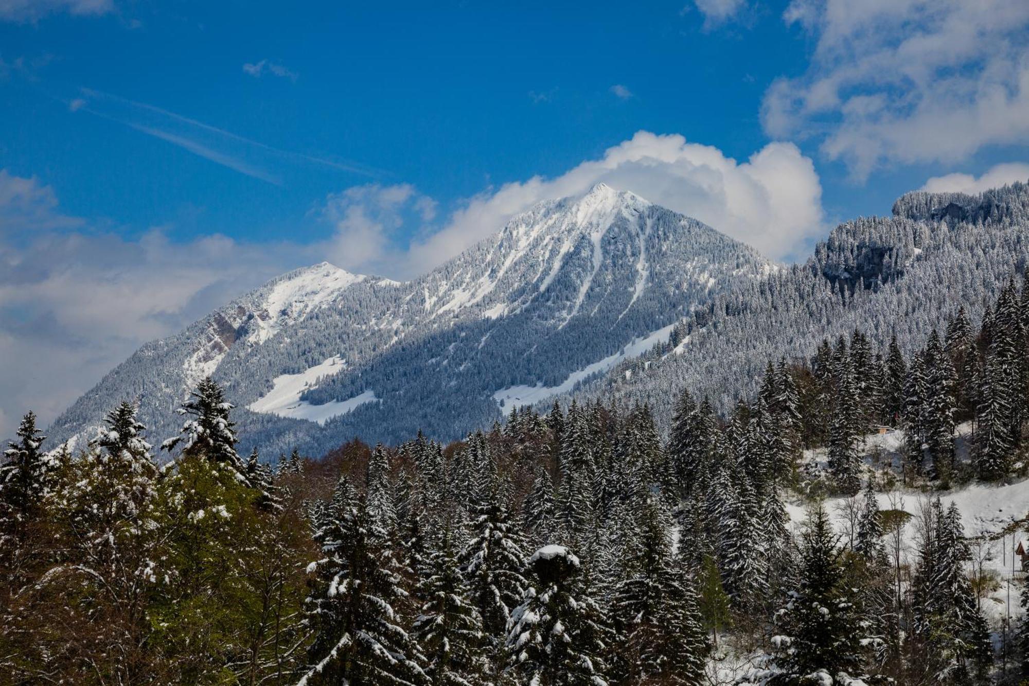 Kunst- Und Naturfreundehaus Bruenig Lungern Bagian luar foto