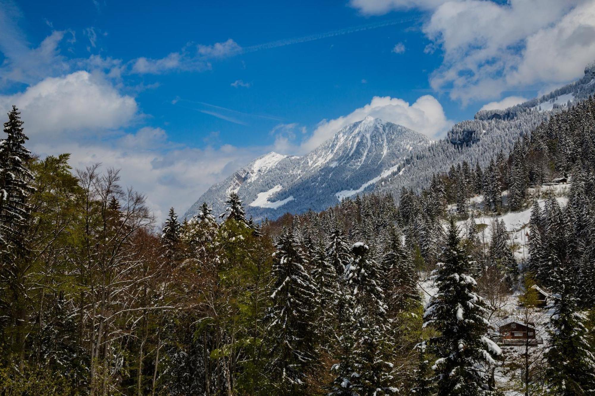Kunst- Und Naturfreundehaus Bruenig Lungern Bagian luar foto