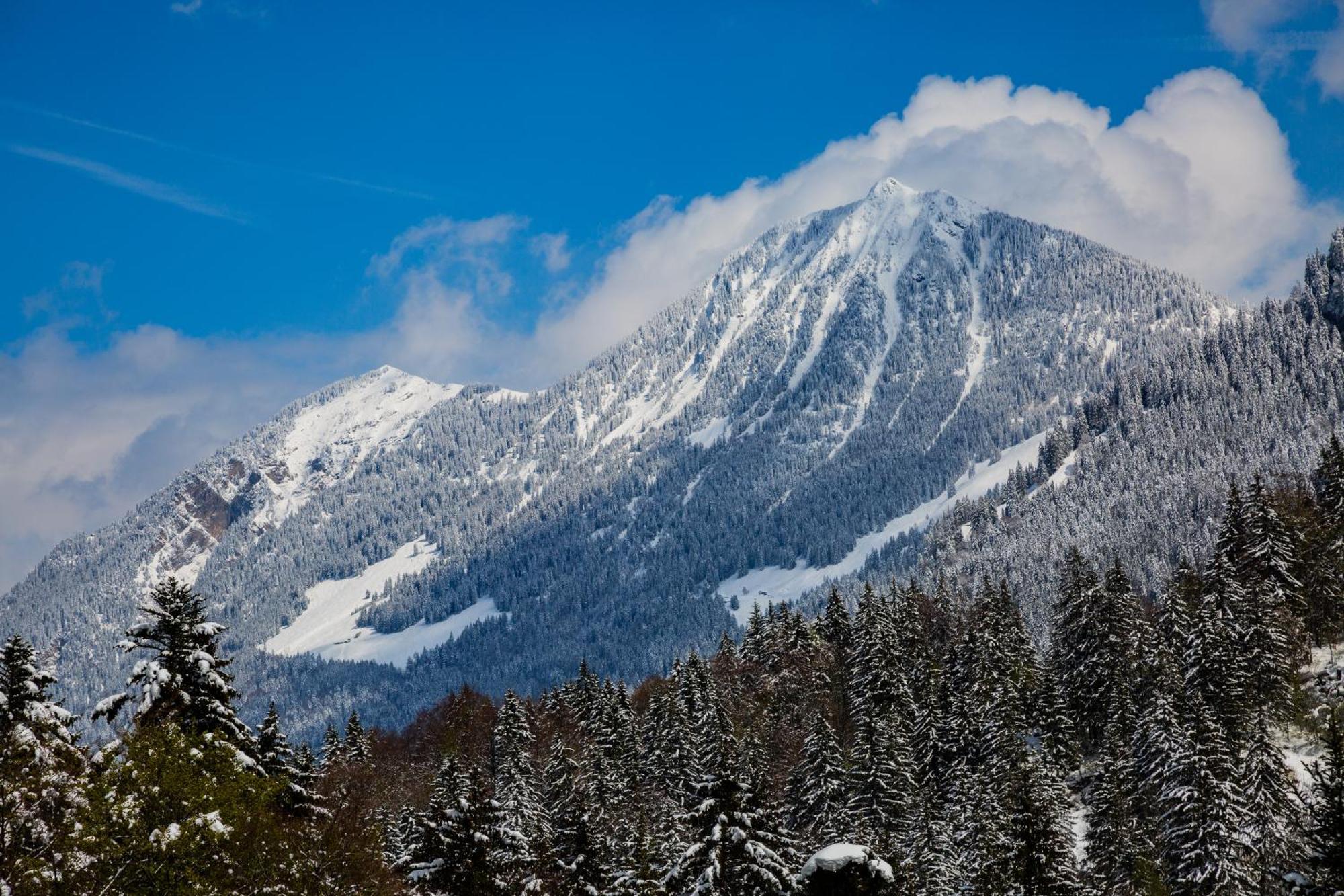 Kunst- Und Naturfreundehaus Bruenig Lungern Bagian luar foto
