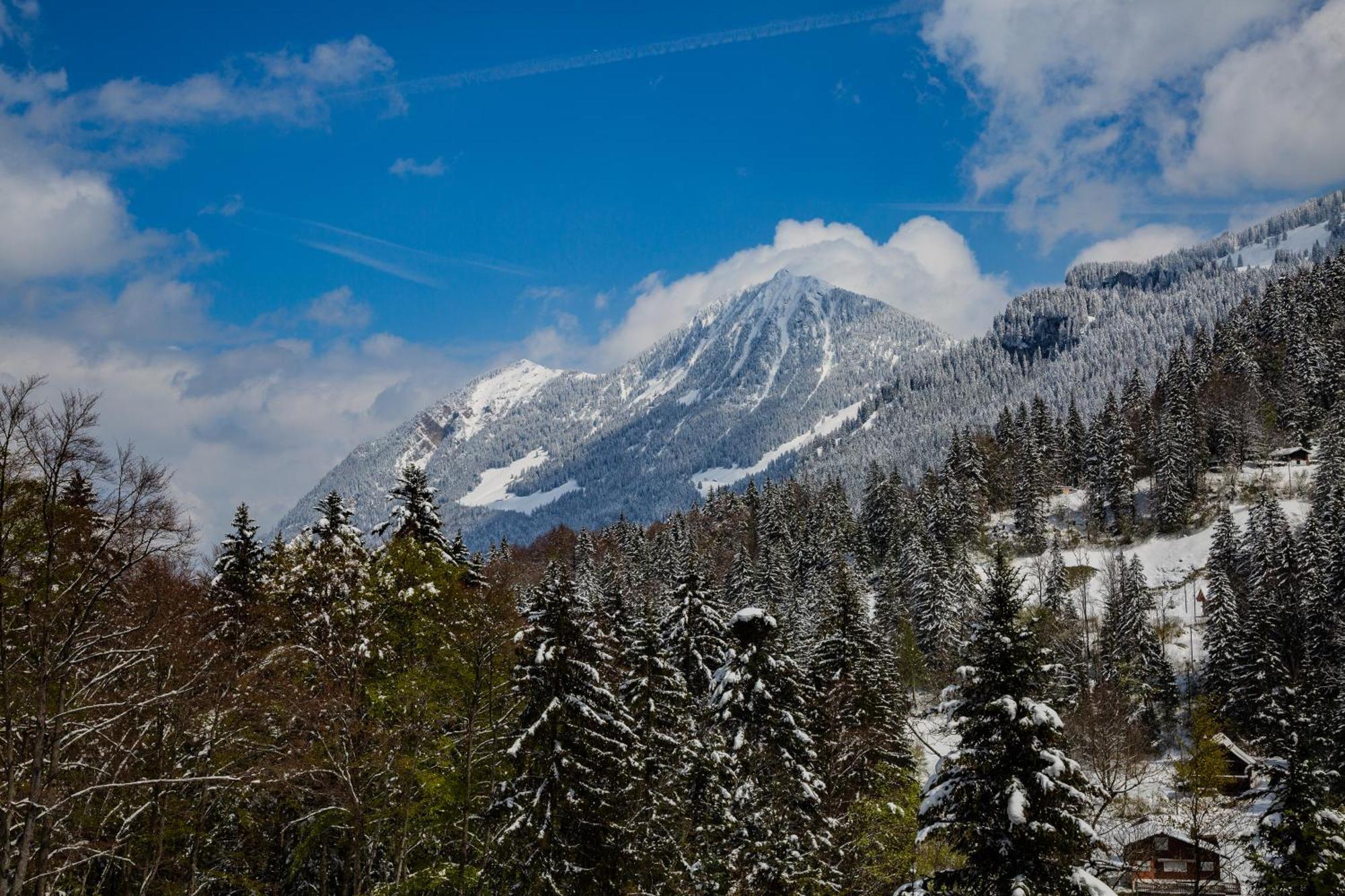 Kunst- Und Naturfreundehaus Bruenig Lungern Bagian luar foto